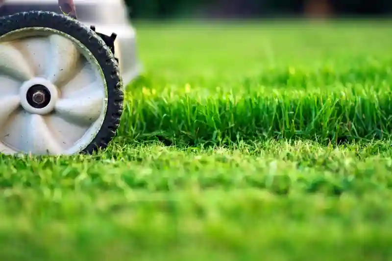 Can you mow wet grass in Everett, WA 