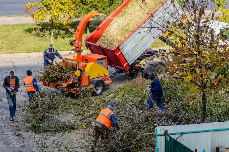 How To Clean A Backyard in Everett, WA 