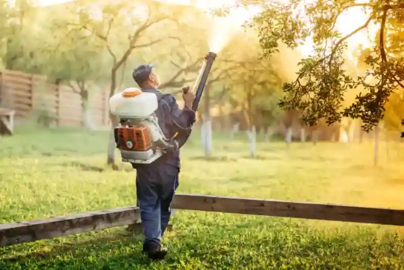 How often should you fertilize your lawn in Everett, WA 