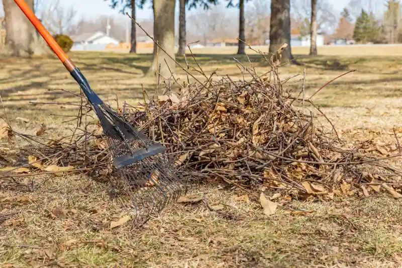 How to clear a yard full of weeds in Everett, WA 