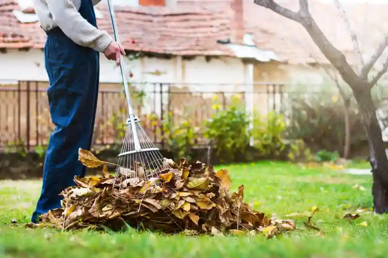 How to clear a yard full of weeds in Everett, WA 