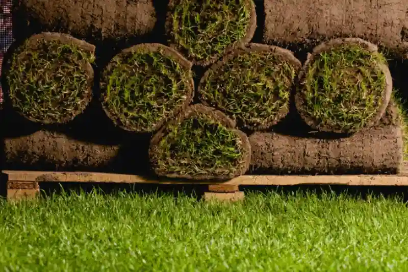 How to lay sod over existing lawn in Everett, WA 