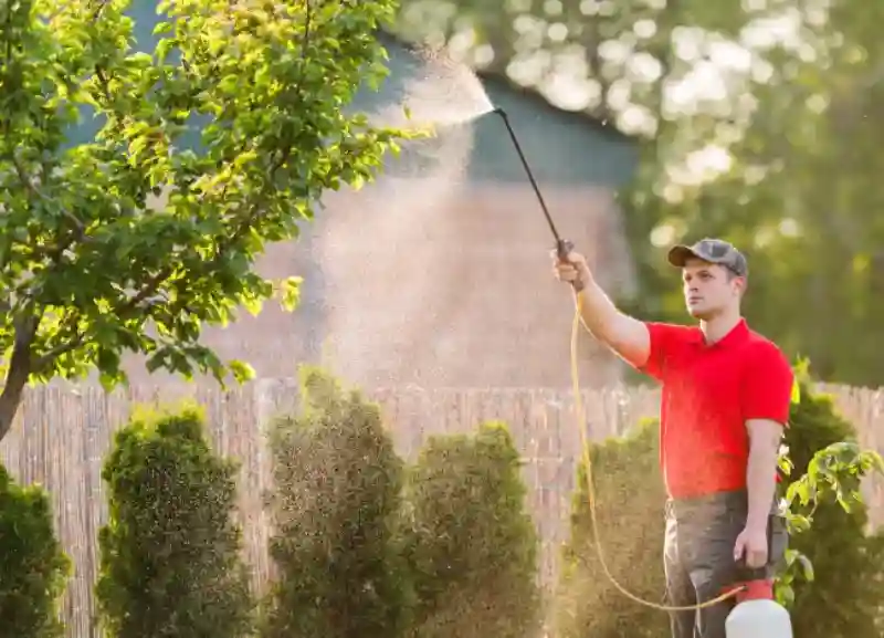 Reliable Lawn Fertilization Service in Everett, WA 