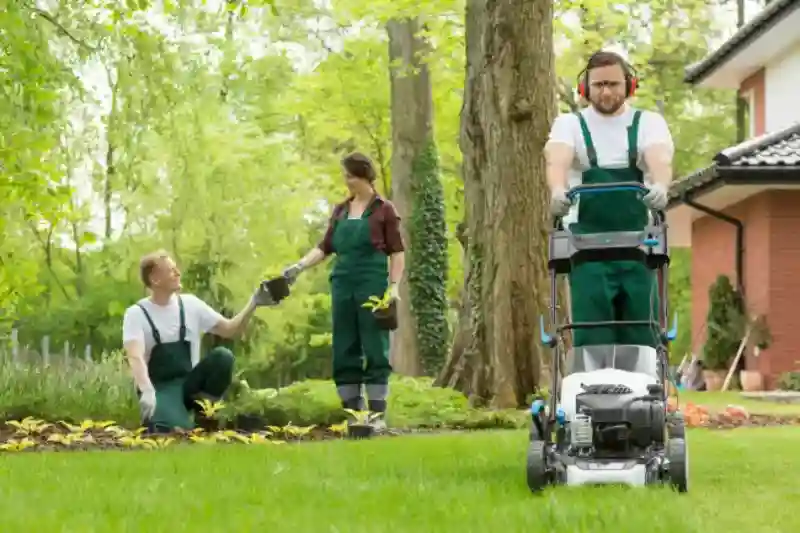 Reliable Lawn Mowing Services in Everett, WA 