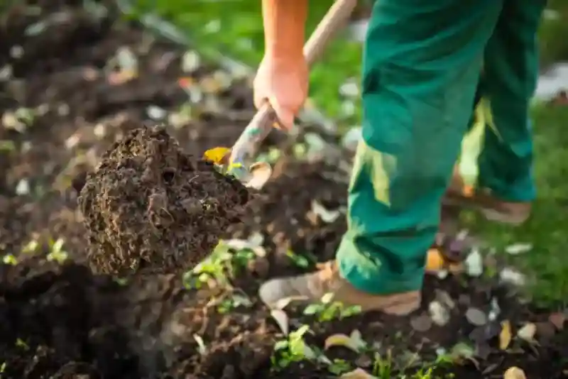 Outstanding Mulching Service in Everett, WA
