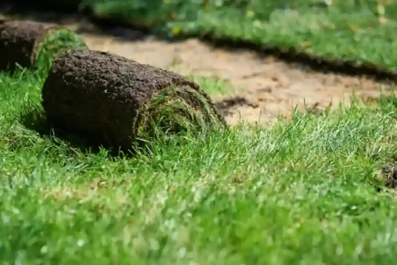 Reliable Sod Installation Service in Everett, WA 