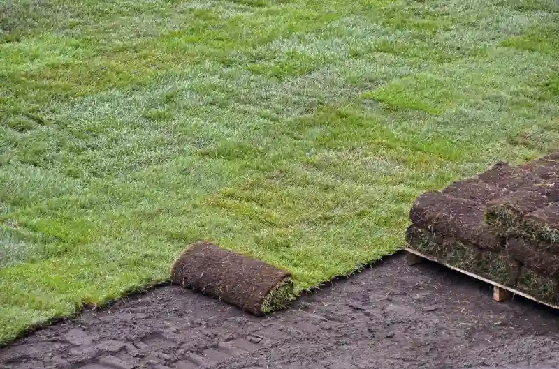 Outstanding Sod Installation Service in Everett, WA 