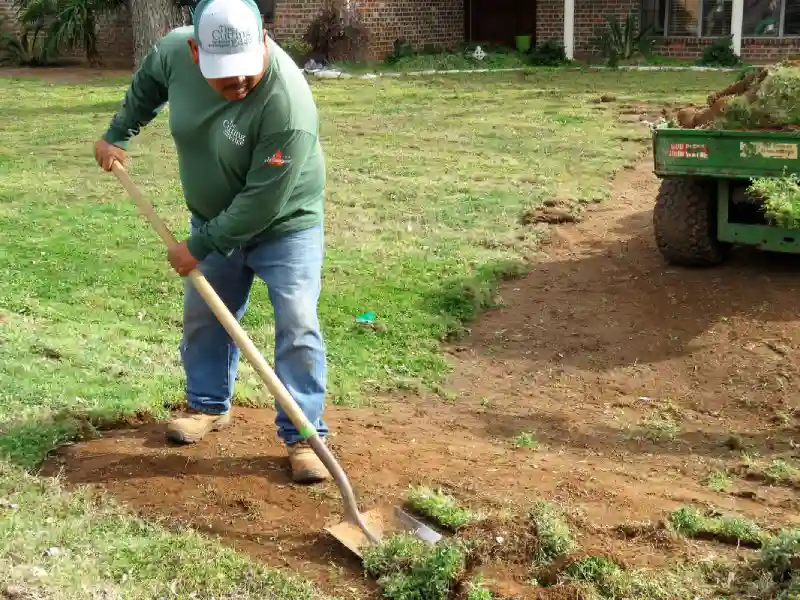 Professional Sod Installation Service in Everett, WA 