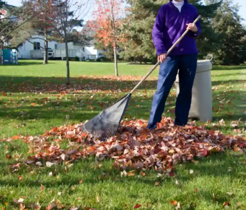 Outstanding Yard cleanup Service in Everett, WA 