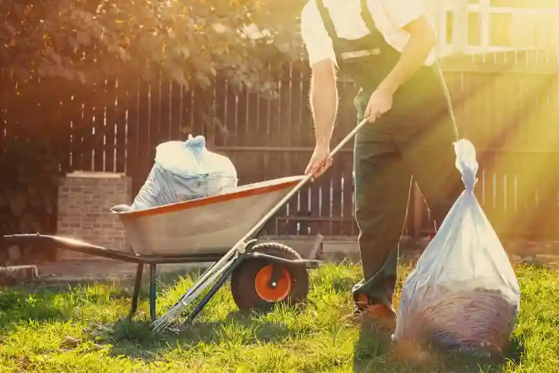 Professional Yard cleanup Service in Everett, WA 