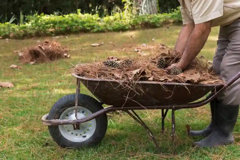 Reliable Yard cleanup Service in Everett, WA 